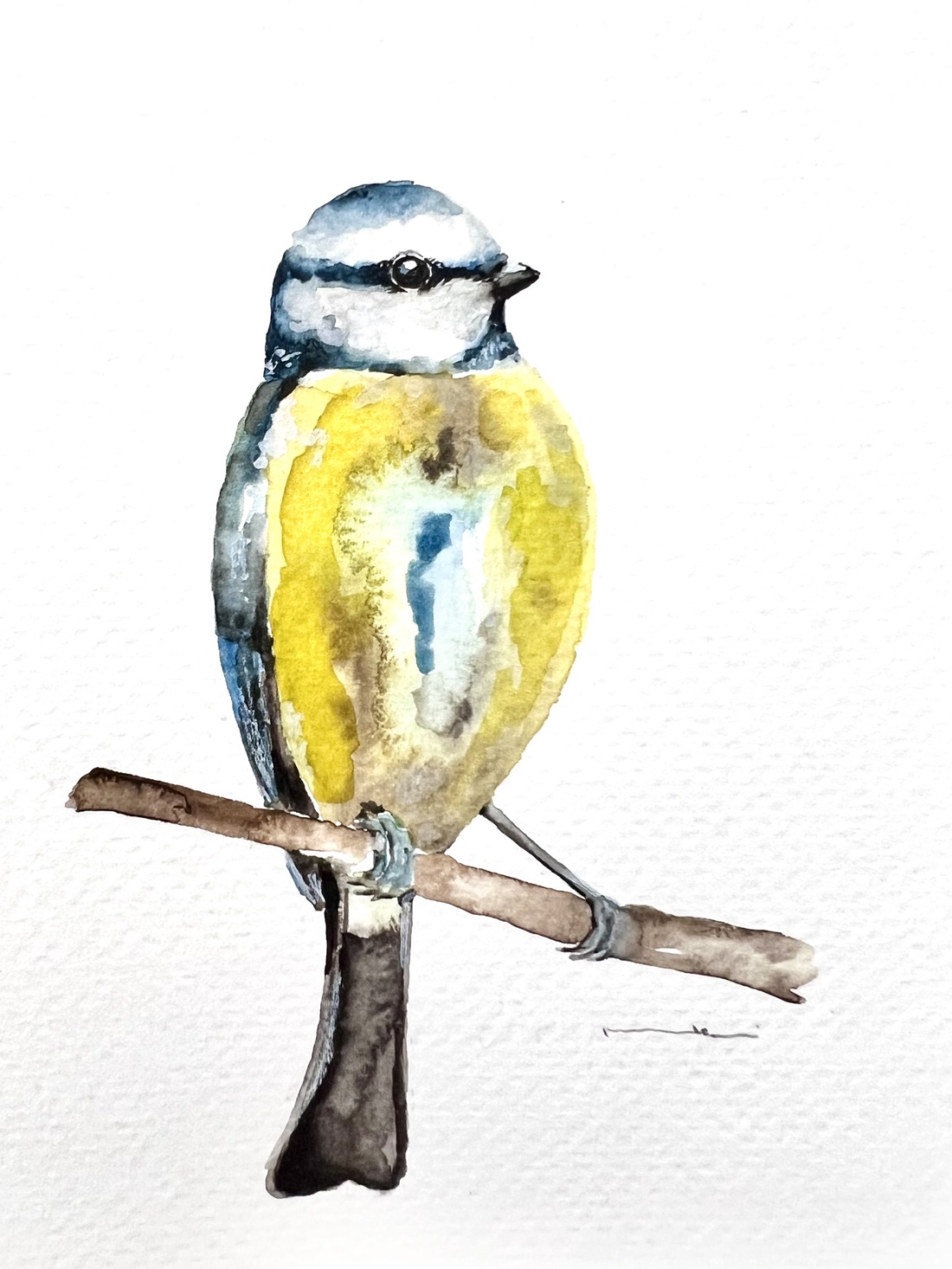 pictură originală în acuarelă de pi�igoi pasăre - arte vizuale și accesorii  - picturi - acuarele picturi - Artynos.ro