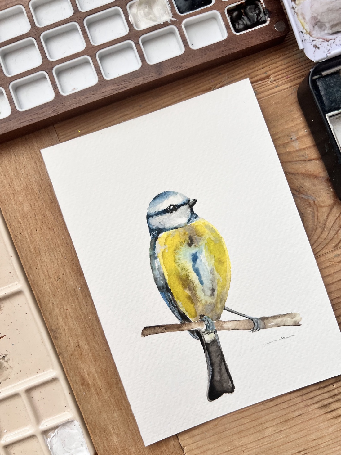 pictură originală în acuarelă de pi�igoi pasăre - arte vizuale și accesorii  - picturi - acuarele picturi - Artynos.ro