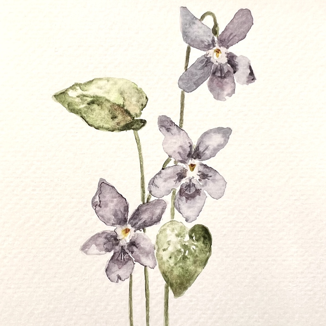 pictură originală în acuarelă de floare - arte vizuale și accesorii  - picturi - acuarele picturi - Artynos.ro