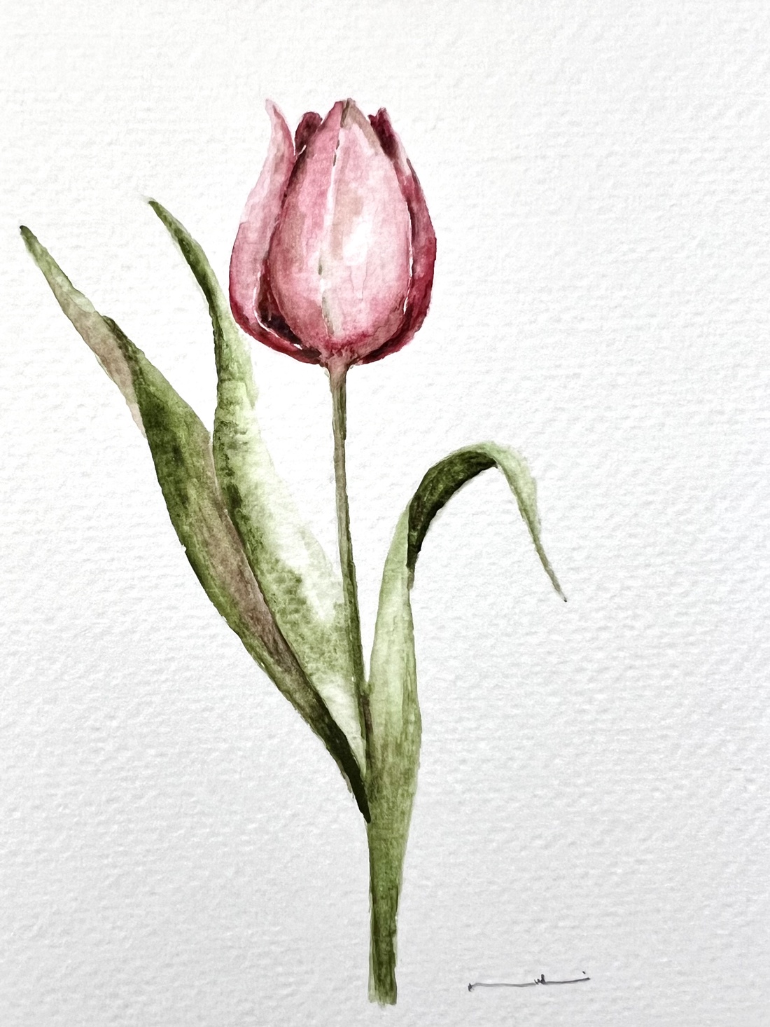 pictură originală în acuarelă de floare - arte vizuale și accesorii  - picturi - acuarele picturi - Artynos.ro