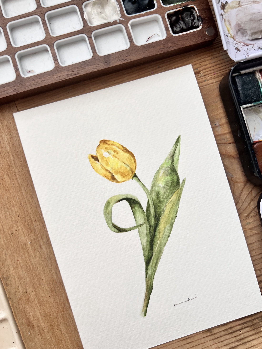 pictură originală în acuarelă de floare - arte vizuale și accesorii  - picturi - acuarele picturi - Artynos.ro