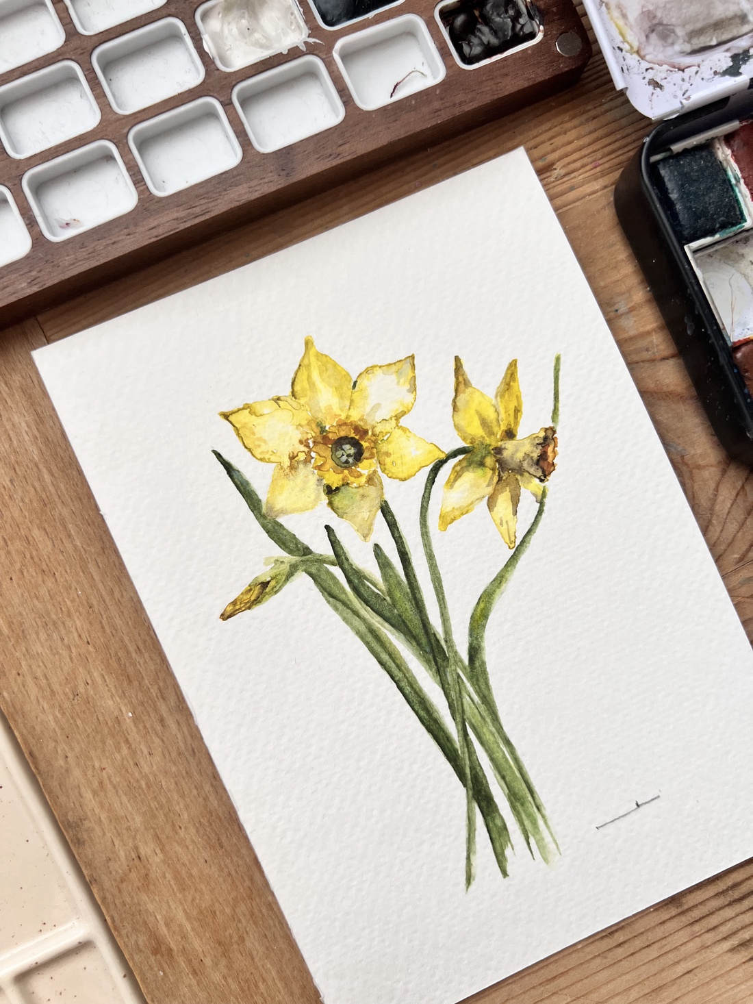 pictură originală în acuarelă de floare - arte vizuale și accesorii  - picturi - acuarele picturi - Artynos.ro