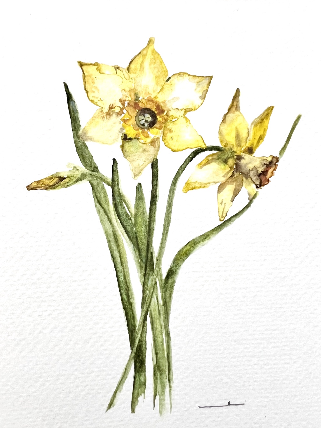 pictură originală în acuarelă de floare - arte vizuale și accesorii  - picturi - acuarele picturi - Artynos.ro