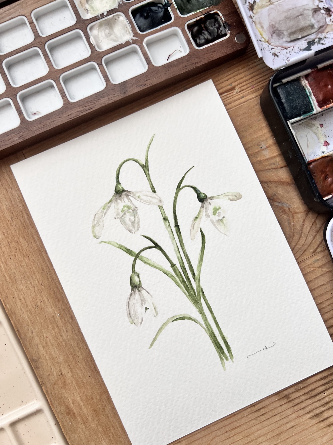 pictură originală în acuarelă de floare - arte vizuale și accesorii  - picturi - acuarele picturi - Artynos.ro