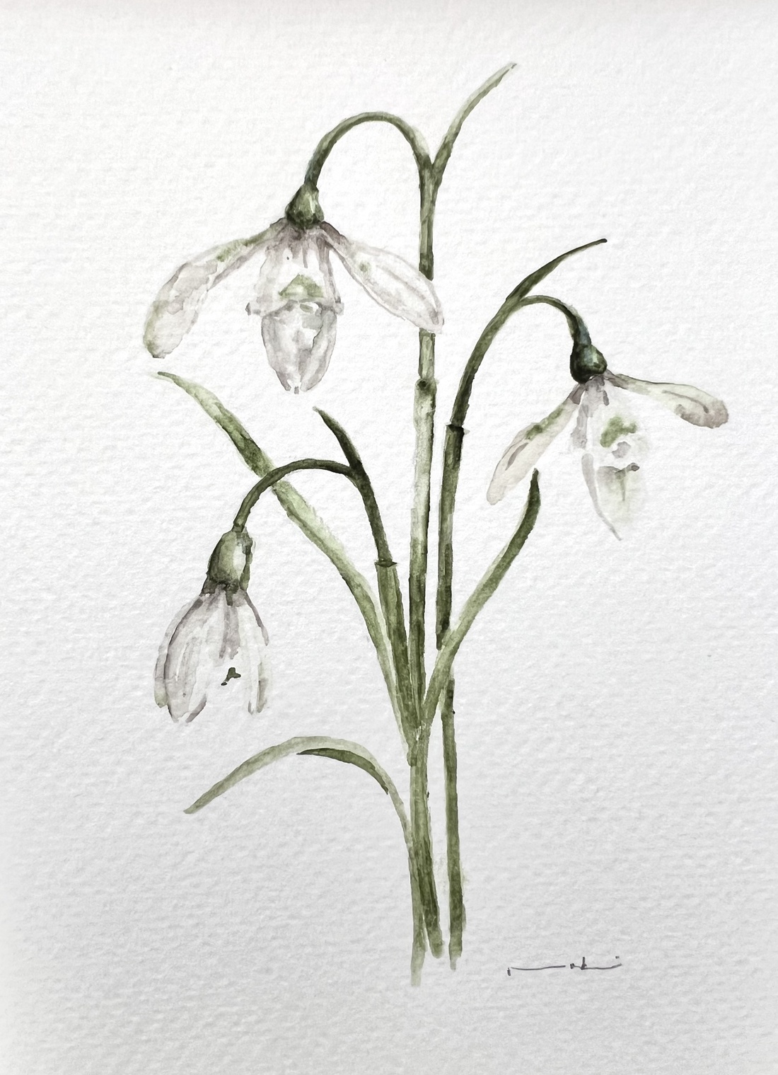 pictură originală în acuarelă de floare - arte vizuale și accesorii  - picturi - acuarele picturi - Artynos.ro