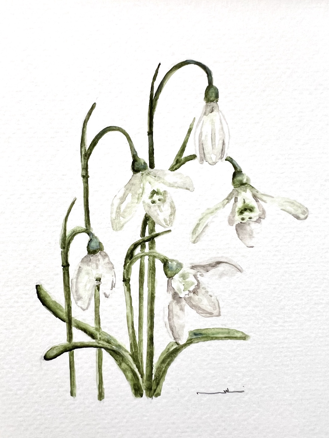 pictură originală în acuarelă de floare - arte vizuale și accesorii  - picturi - acuarele picturi - Artynos.ro