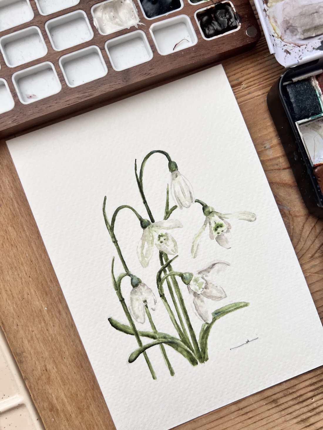 pictură originală în acuarelă de floare - arte vizuale și accesorii  - picturi - acuarele picturi - Artynos.ro