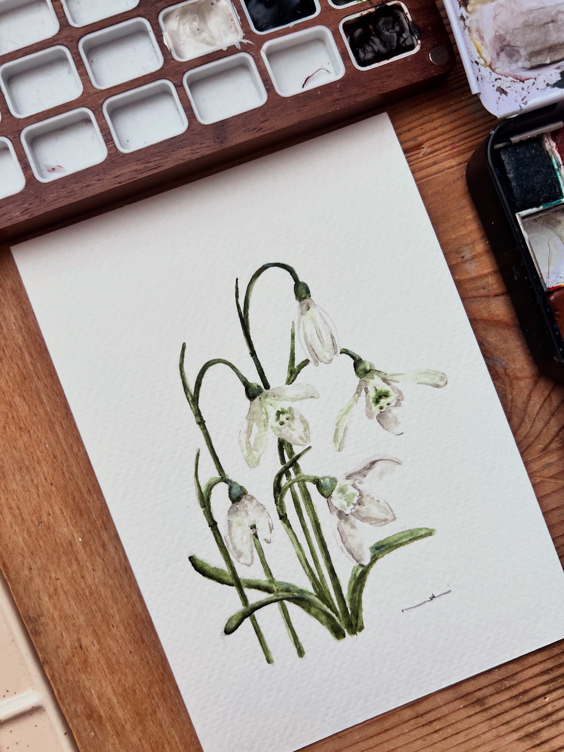 pictură originală în acuarelă de floare - arte vizuale și accesorii  - picturi - acuarele picturi - Artynos.ro