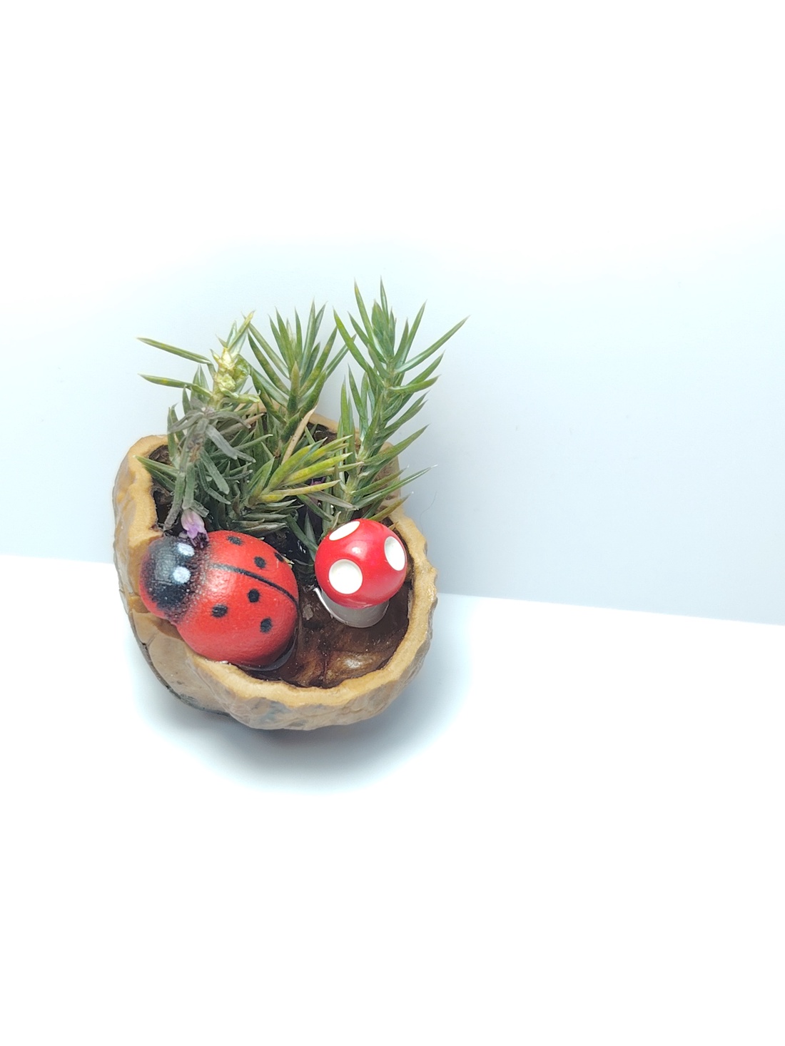 Mini peisaj natural în coajă de nucă � mărțișor decorativ handmade unicat - bijuterii - mărțișor - Artynos.ro