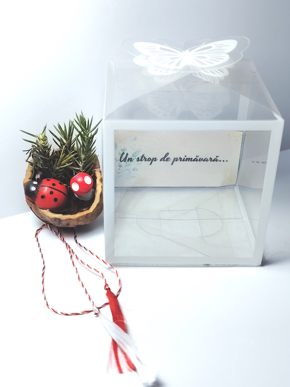 Mini peisaj natural în coajă de nucă � mărțișor decorativ handmade unicat - bijuterii - mărțișor - Artynos.ro