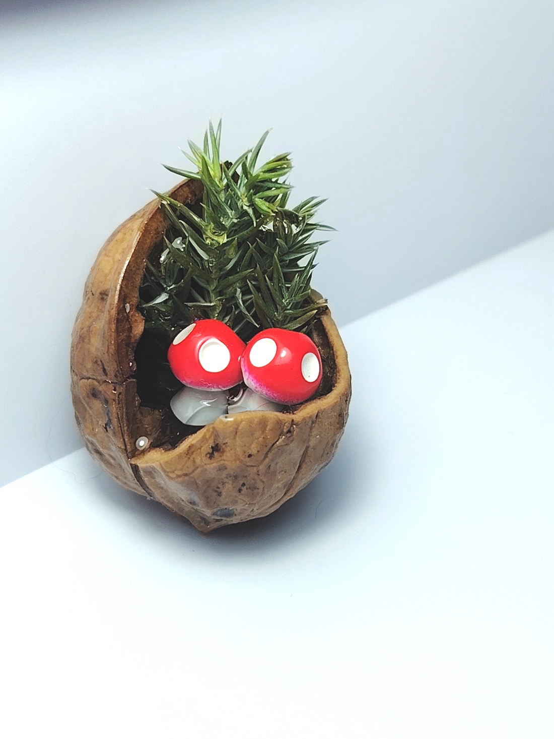 Martisor mini aranjament natural în nucă - bijuterii - mărțișor - Artynos.ro