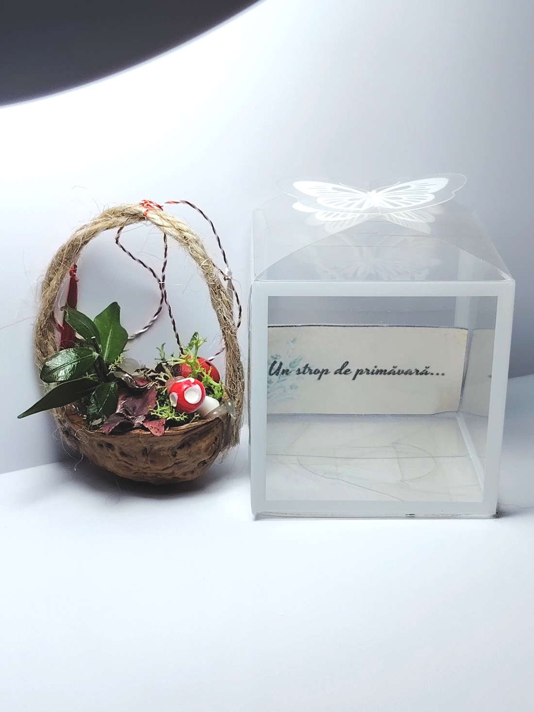 Martisor mini aranjament natural în nucă - bijuterii - mărțișor - Artynos.ro