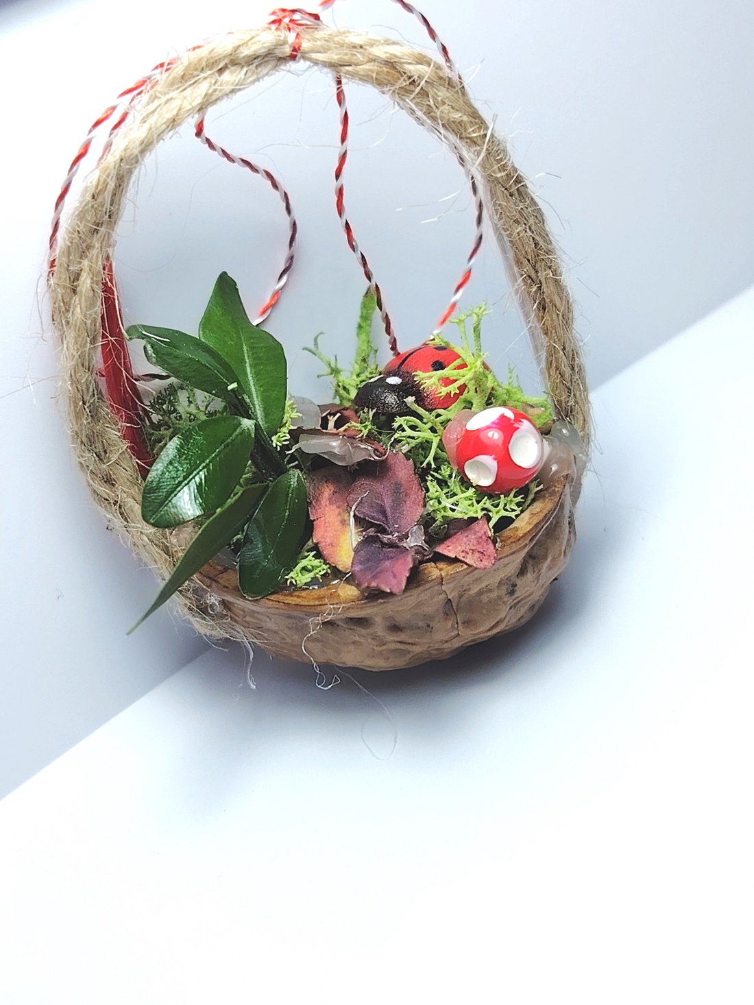 Martisor mini aranjament natural în nucă - bijuterii - mărțișor - Artynos.ro