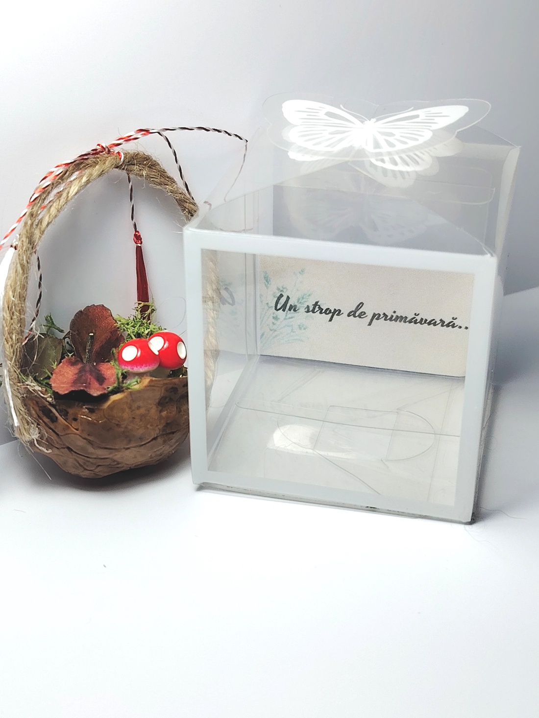 Martisor mini aranjament natural în nuca - bijuterii - mărțișor - Artynos.ro