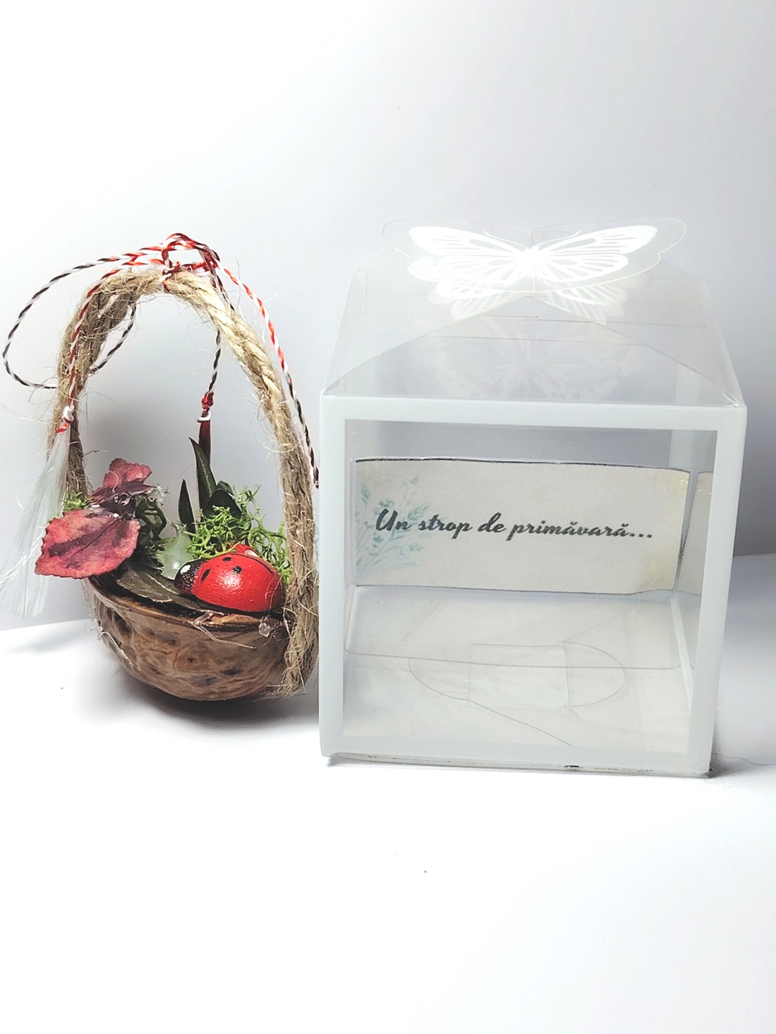 Martisor mini aranjament natural în nuca - bijuterii - mărțișor - Artynos.ro