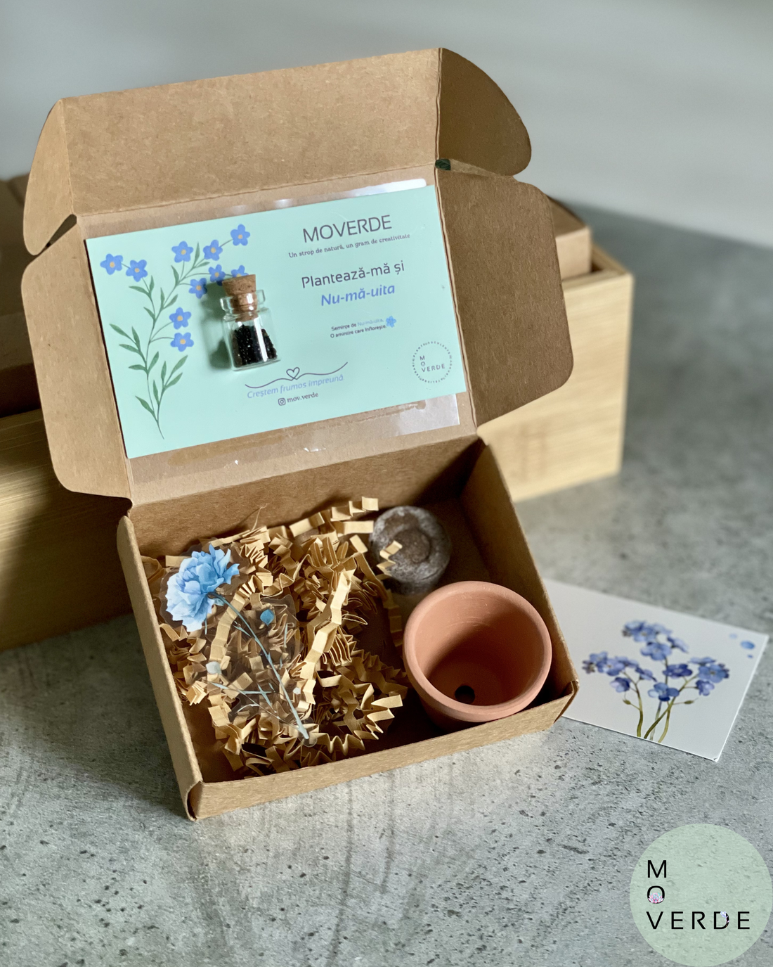 Kit Cadou DIY plantabil Nu-ma-uita MoVerde -  - Artynos.ro
