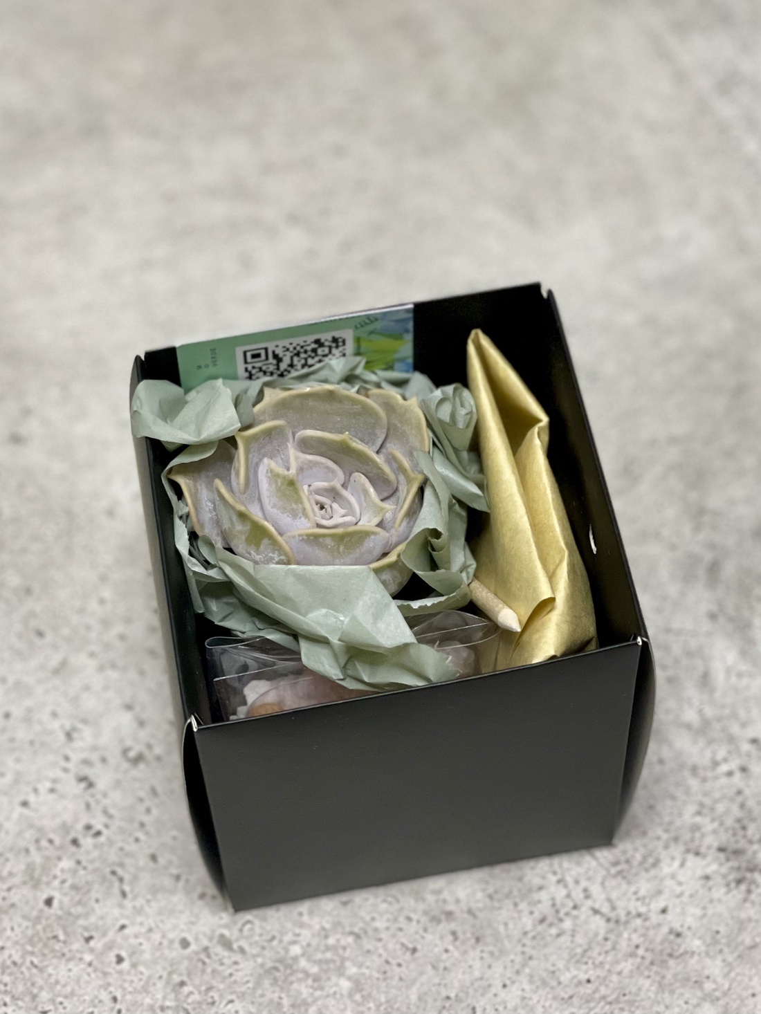 KIT DIY cu plante suculente S - diy - pregătește-ți singur - pachete diy, kituri - Artynos.ro