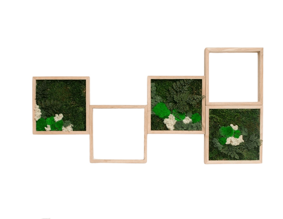 Set perete 5 tablouri 3030 cm cu licheni ideal pentru casă, birou, spații comerciale - casă & stil de viață - accesorii pentru decorat casa - decorațiuni de pereți, decorațiuni suspendate - tablou cu licheni - Artynos.ro Set perete 5 tablouri 3030 cm cu licheni ideal pentru casă, birou, spații comerciale - casă & stil de viață - accesorii pentru decorat casa - decorațiuni de pereți, decorațiuni suspendate - tablou cu licheni - Artynos.ro