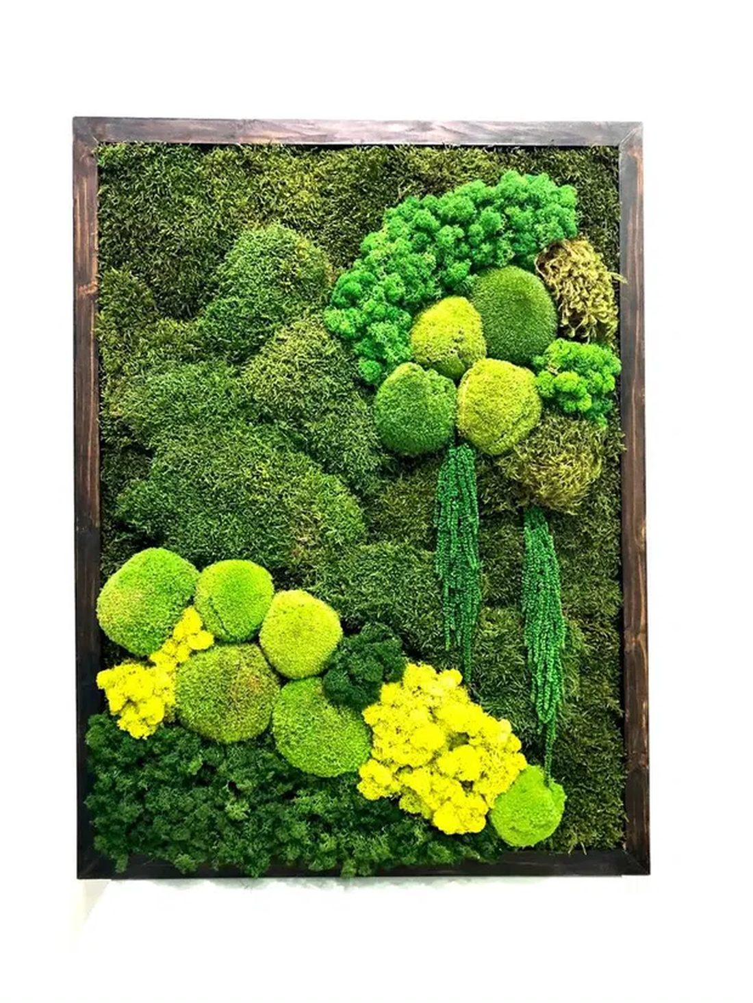 Set 3 tablouri cu licheni stabilizați 5040 cm  decor natural pentru perete, handmade - casă & stil de viață - accesorii pentru decorat casa - decorațiuni de pereți, decorațiuni suspendate - tablou cu licheni - Artynos.ro