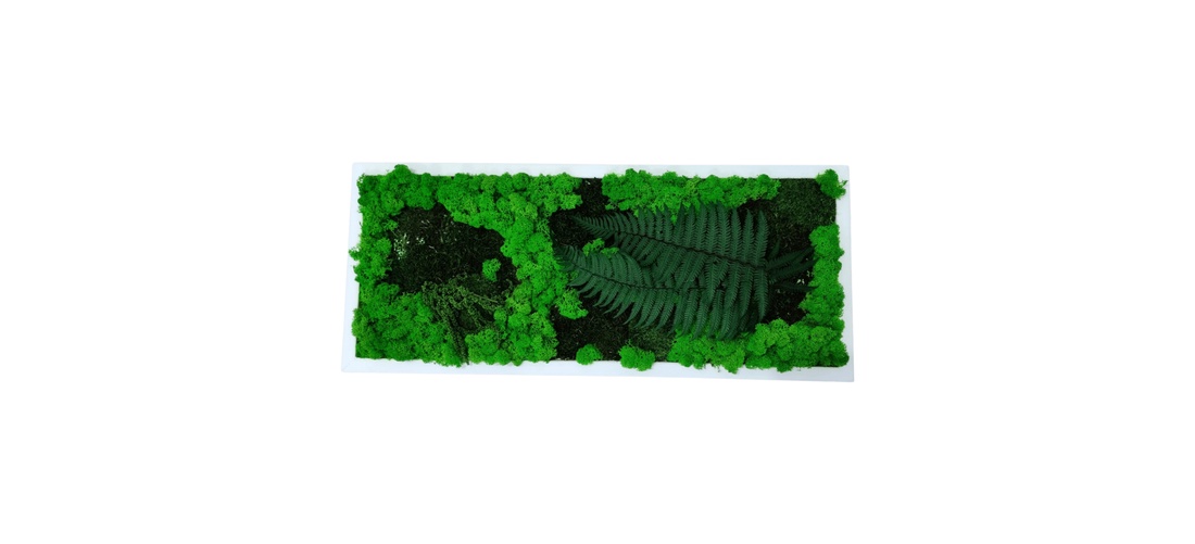 Tablou din licheni stabilizați 7030 cm decor natural handmade, design verde pentru perete - casă & stil de viață - accesorii pentru decorat casa - decorațiuni de pereți, decorațiuni suspendate - tablou cu licheni - Artynos.ro Tablou din licheni stabilizați 7030 cm decor natural handmade, design verde pentru perete - casă & stil de viață - accesorii pentru decorat casa - decorațiuni de pereți, decorațiuni suspendate - tablou cu licheni - Artynos.ro