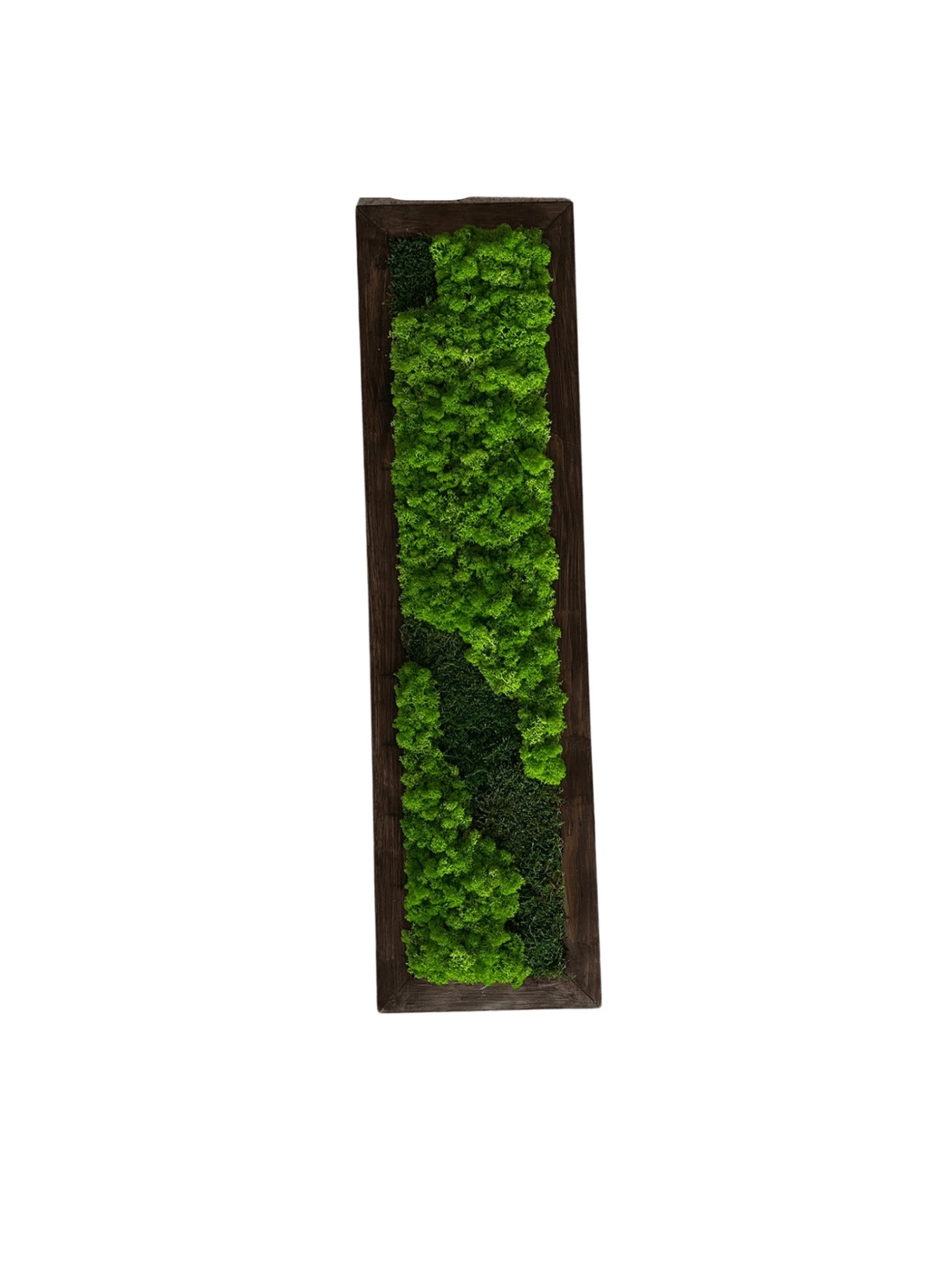 Set 3 tablouri cu licheni stabilizați 10020 cm decor natural handmade, format modular - casă & stil de viață - accesorii pentru decorat casa - decorațiuni de pereți, decorațiuni suspendate - tablou cu licheni - Artynos.ro Set 3 tablouri cu licheni stabilizați 10020 cm decor natural handmade, format modular - casă & stil de viață - accesorii pentru decorat casa - decorațiuni de pereți, decorațiuni suspendate - tablou cu licheni - Artynos.ro