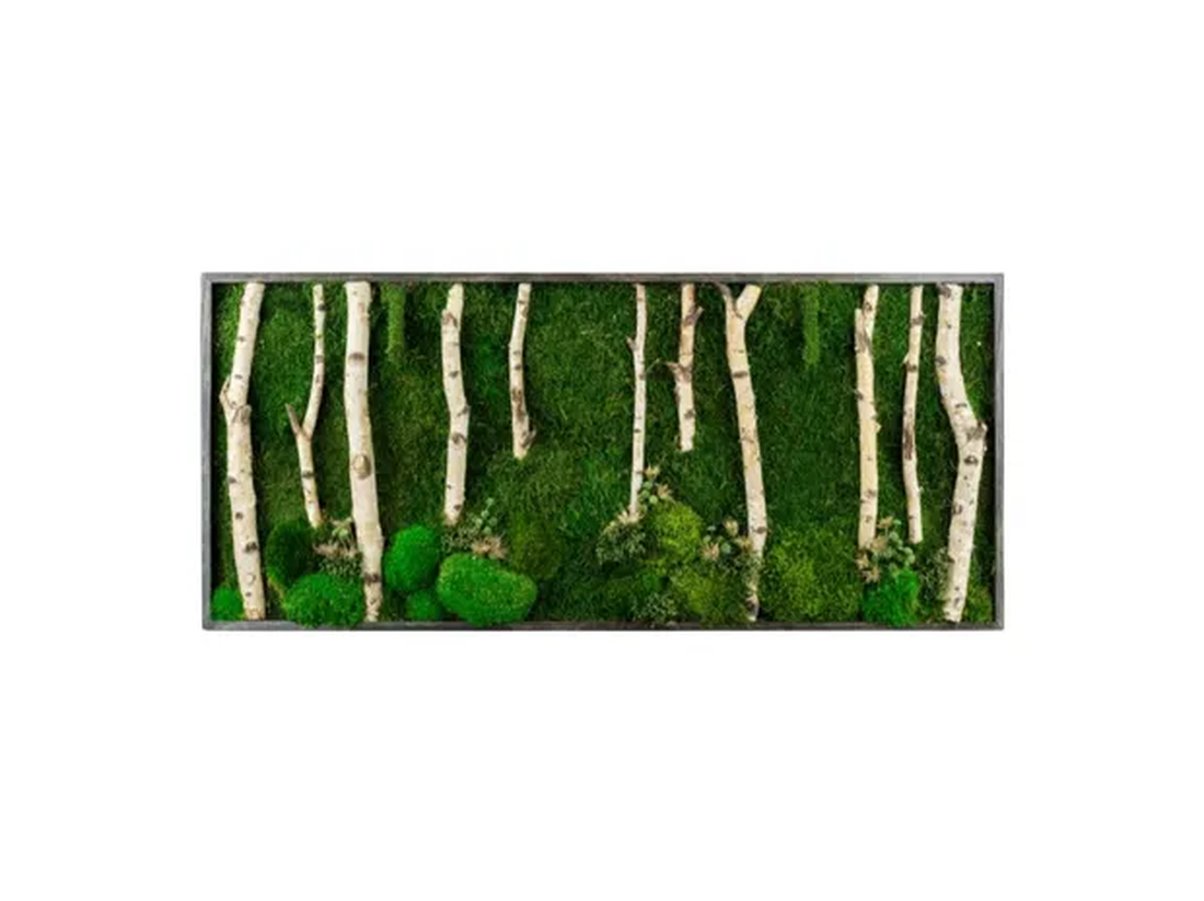 Tablou din licheni stabilizați 10050 cm decor natural handmade, design verde pentru perete - casă & stil de viață - accesorii pentru decorat casa - decorațiuni de pereți, decorațiuni suspendate - tablou cu licheni - Artynos.ro Tablou din licheni stabilizați 10050 cm decor natural handmade, design verde pentru perete - casă & stil de viață - accesorii pentru decorat casa - decorațiuni de pereți, decorațiuni suspendate - tablou cu licheni - Artynos.ro