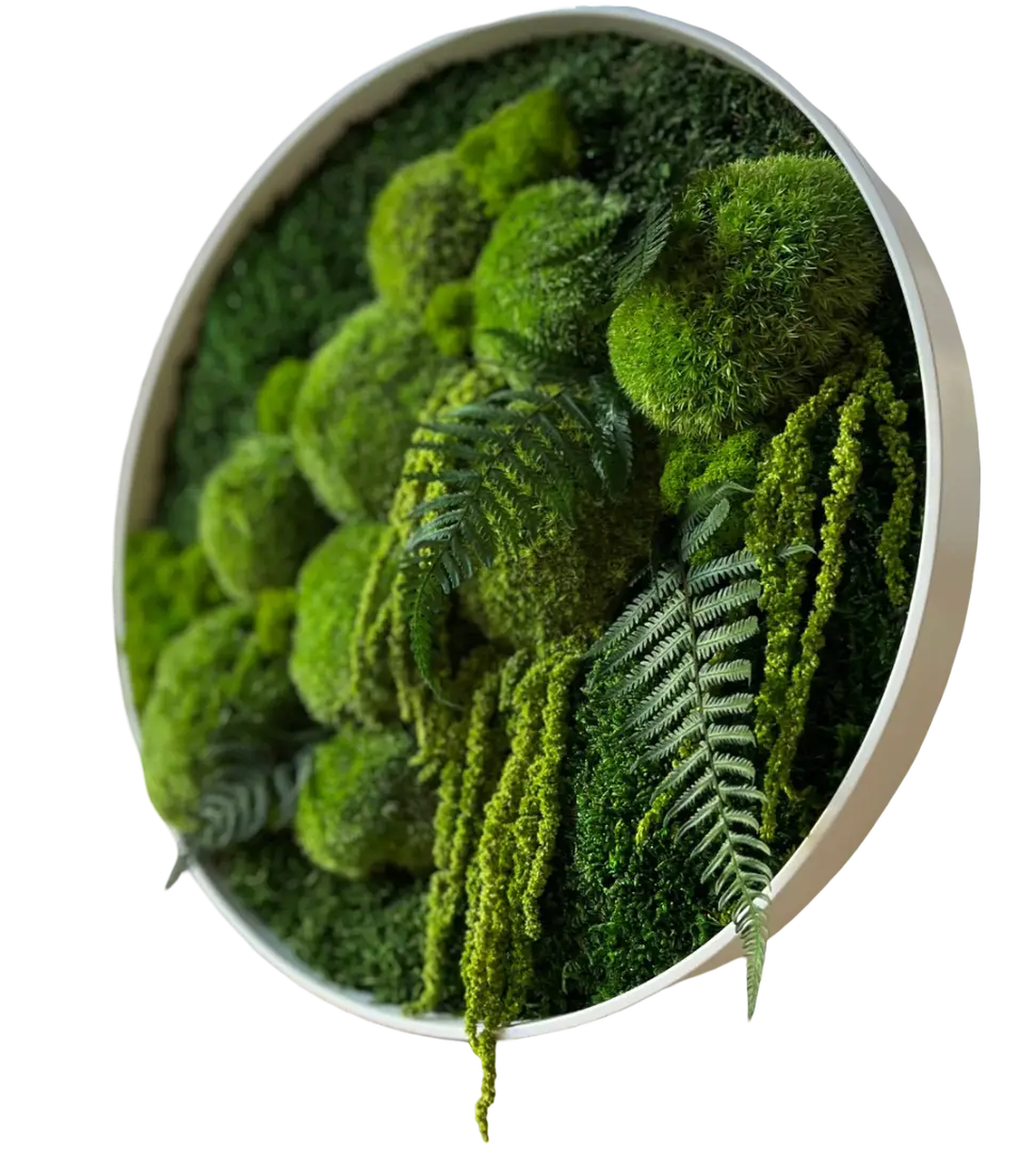 Cerc din licheni stabilizați Ø40 cm tablou decorativ rotund, natural, handmade - casă & stil de viață - accesorii pentru decorat casa - decorațiuni de pereți, decorațiuni suspendate - tablou cu licheni - Artynos.ro Cerc din licheni stabilizați Ø40 cm tablou decorativ rotund, natural, handmade - casă & stil de viață - accesorii pentru decorat casa - decorațiuni de pereți, decorațiuni suspendate - tablou cu licheni - Artynos.ro