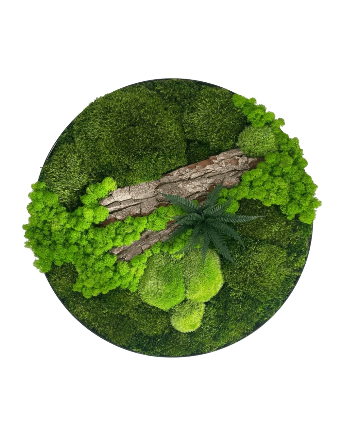 Cerc din licheni stabilizați Ø50 cm tablou rotund decorativ, natural, realizat manual - casă & stil de viață - accesorii pentru decorat casa - decorațiuni de pereți, decorațiuni suspendate - tablou cu licheni - Artynos.ro Cerc din licheni stabilizați Ø50 cm tablou rotund decorativ, natural, realizat manual - casă & stil de viață - accesorii pentru decorat casa - decorațiuni de pereți, decorațiuni suspendate - tablou cu licheni - Artynos.ro