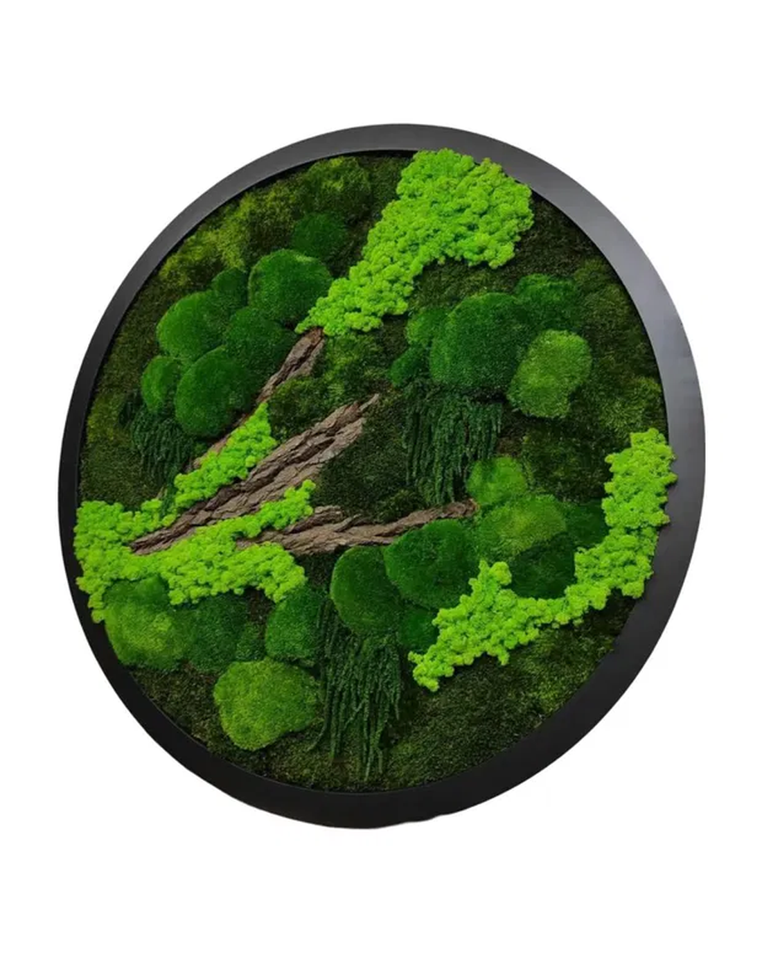 Cerc din licheni stabilizați Ø80 cm tablou decorativ rotund, natural, handmade, dimensiune mare - casă & stil de viață - accesorii pentru decorat casa - decorațiuni de pereți, decorațiuni suspendate - tablou cu licheni - Artynos.ro Cerc din licheni stabilizați Ø80 cm tablou decorativ rotund, natural, handmade, dimensiune mare - casă & stil de viață - accesorii pentru decorat casa - decorațiuni de pereți, decorațiuni suspendate - tablou cu licheni - Artynos.ro