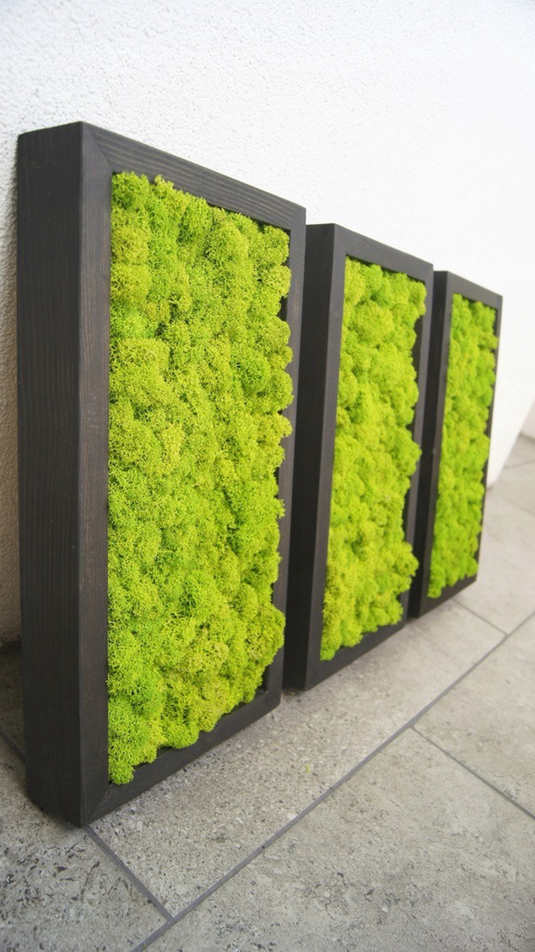 Set tablouri din licheni 3015 cm - casă & stil de viață - accesorii pentru decorat casa - decorațiuni de pereți, decorațiuni suspendate - tablou cu licheni - Artynos.ro