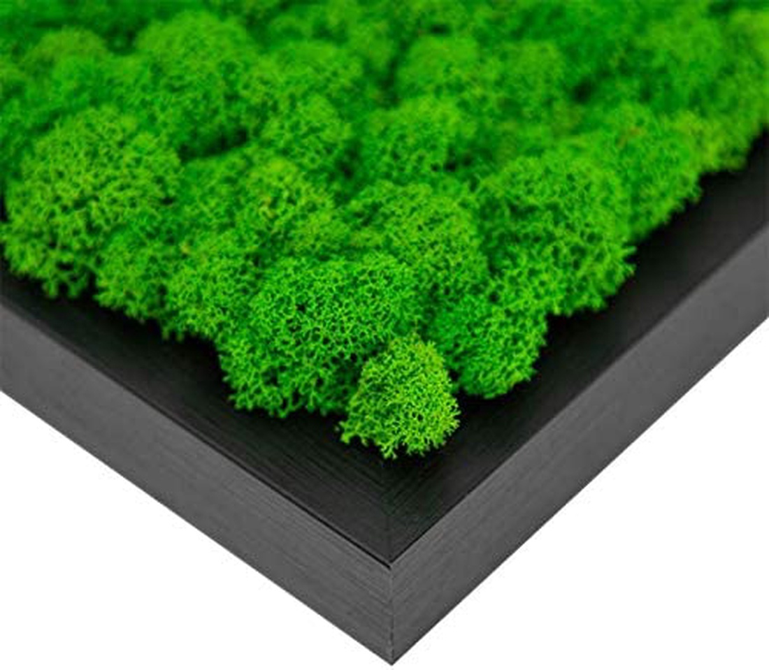 Tablou din licheni 80�50 cm - casă & stil de viață - decorațiuni de casă - decorațiuni de pereți - tablou cu licheni - Artynos.ro