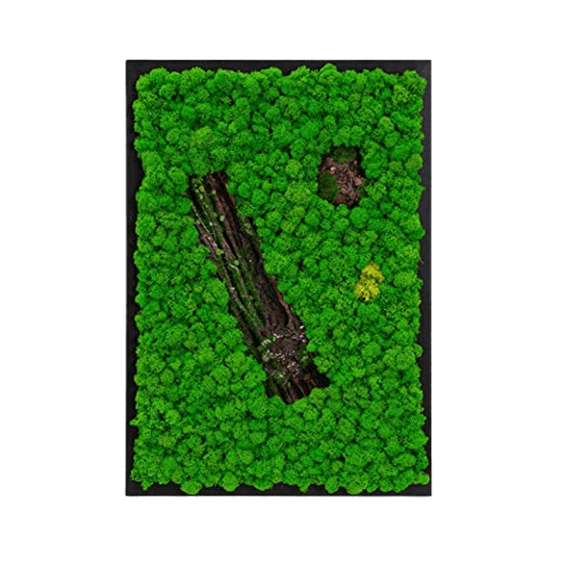 Tablou din licheni 7040 cm - casă & stil de viață - accesorii pentru decorat casa - decorațiuni de pereți, decorațiuni suspendate - tablou cu licheni - Artynos.ro