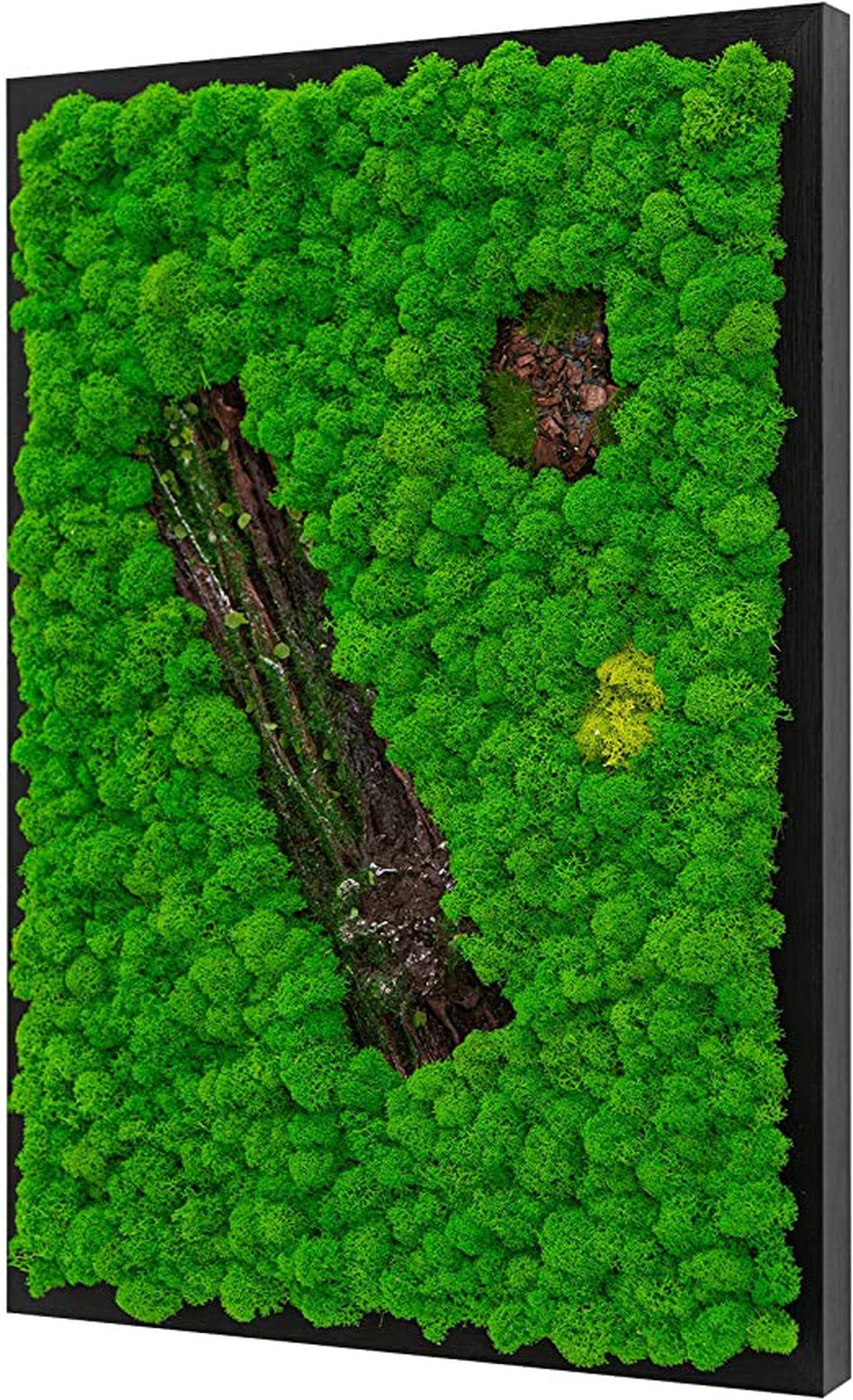 Tablou din licheni 7040 cm - casă & stil de viață - accesorii pentru decorat casa - decorațiuni de pereți, decorațiuni suspendate - tablou cu licheni - Artynos.ro