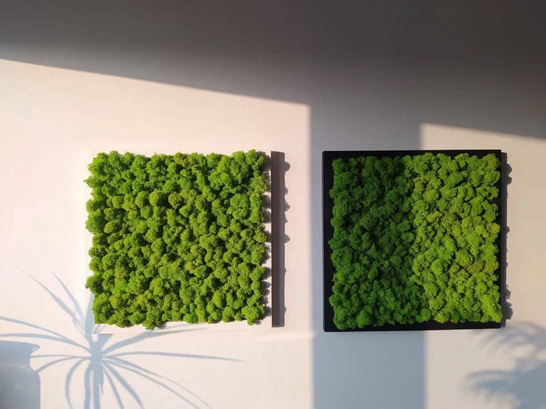 Tablou din licheni 4040 cm - casă & stil de viață - accesorii pentru decorat casa - decorațiuni de pereți, decorațiuni suspendate - tablou cu licheni - Artynos.ro