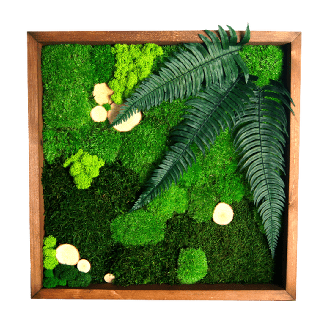 Tablou din licheni 3030 cm - casă & stil de viață - accesorii pentru decorat casa - decorațiuni de pereți, decorațiuni suspendate - tablou cu licheni - Artynos.ro