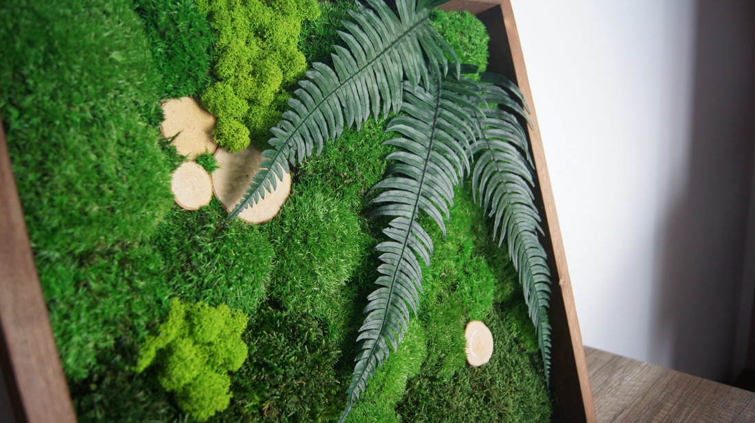 Tablou din licheni 3030 cm - casă & stil de viață - accesorii pentru decorat casa - decorațiuni de pereți, decorațiuni suspendate - tablou cu licheni - Artynos.ro