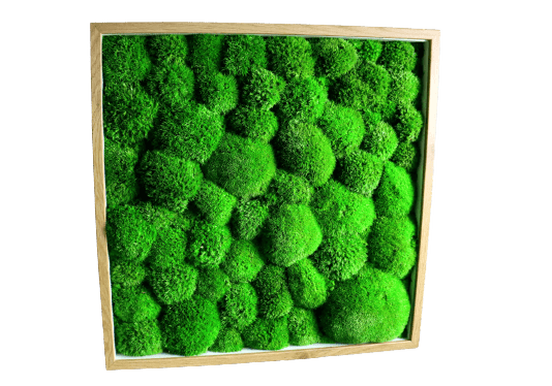 Tablou din licheni 4040 cm - casă & stil de viață - accesorii pentru decorat casa - decorațiuni de pereți, decorațiuni suspendate - tablou cu licheni - Artynos.ro