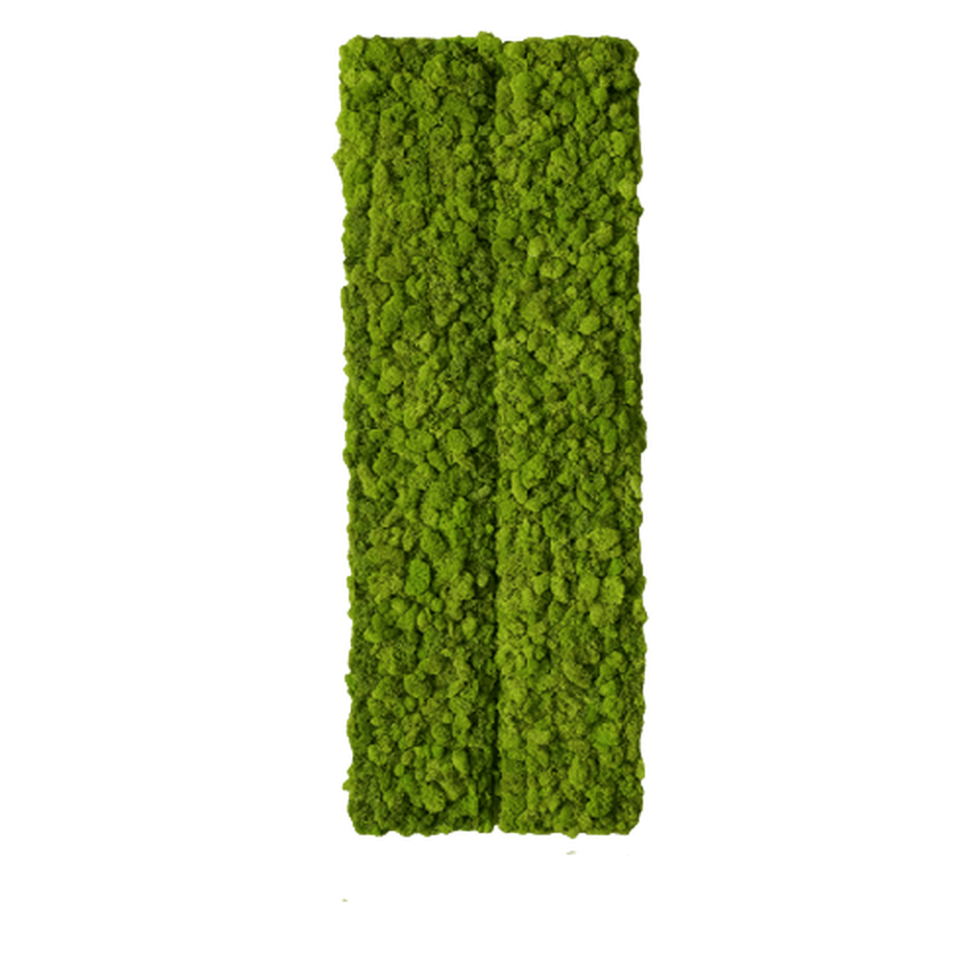 Tablou din licheni 10020 cm - casă & stil de viață - accesorii pentru decorat casa - decorațiuni de pereți, decorațiuni suspendate - tablou cu licheni - Artynos.ro