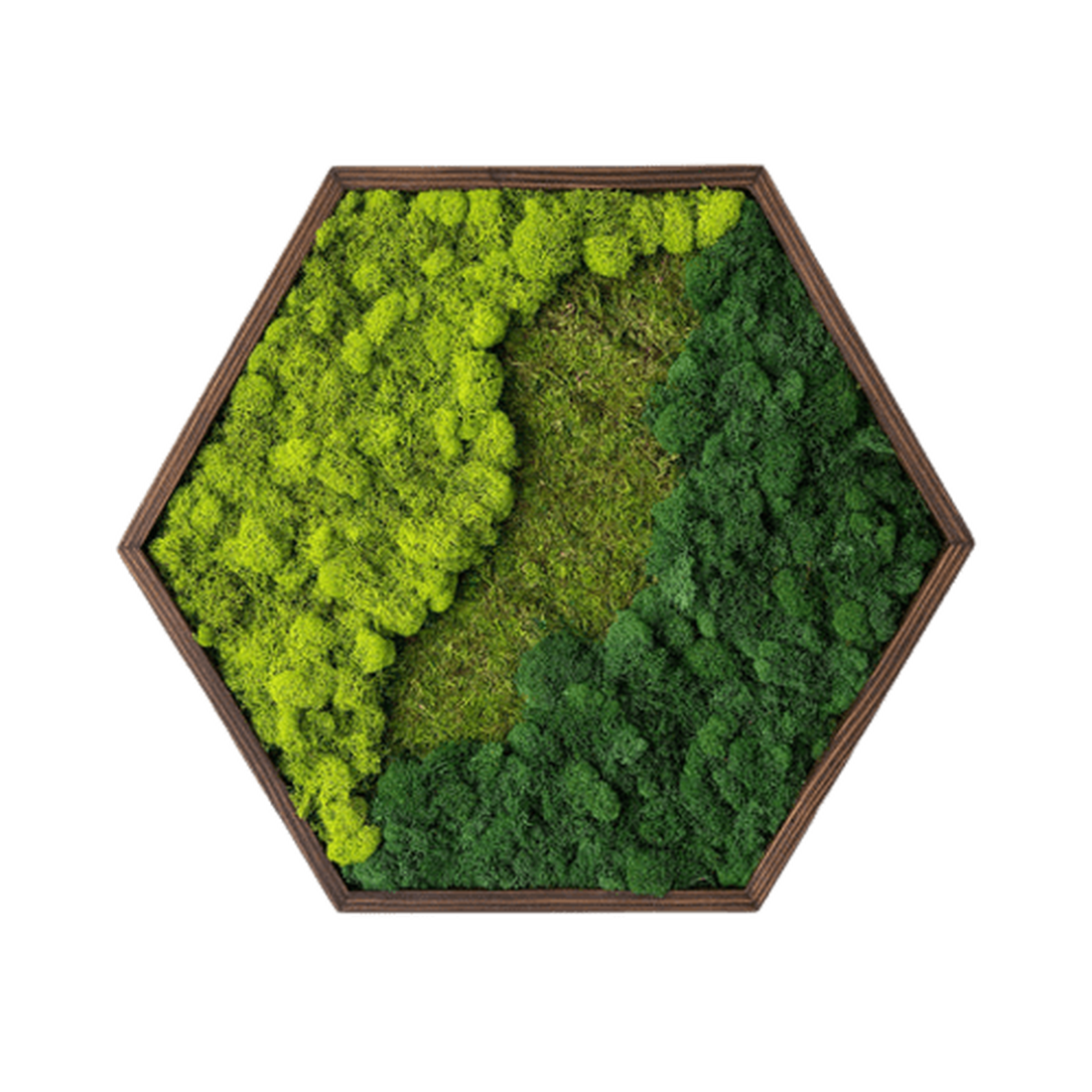 Hexagon din licheni 3535 cm - casă & stil de viață - accesorii pentru decorat casa - decorațiuni de pereți, decorațiuni suspendate - tablou cu licheni - Artynos.ro