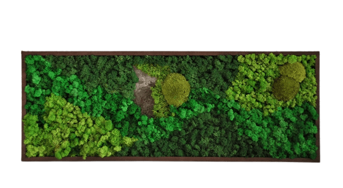 Tablou cu licheni 10030 cm - casă & stil de viață - accesorii pentru decorat casa - decorațiuni de pereți, decorațiuni suspendate - tablou cu licheni - Artynos.ro