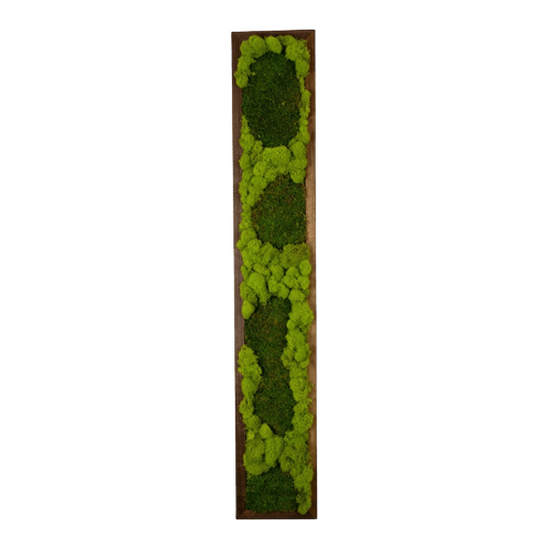 Tablou din licheni 10015 cm - casă & stil de viață - accesorii pentru decorat casa - decorațiuni de pereți, decorațiuni suspendate - tablou cu licheni - Artynos.ro