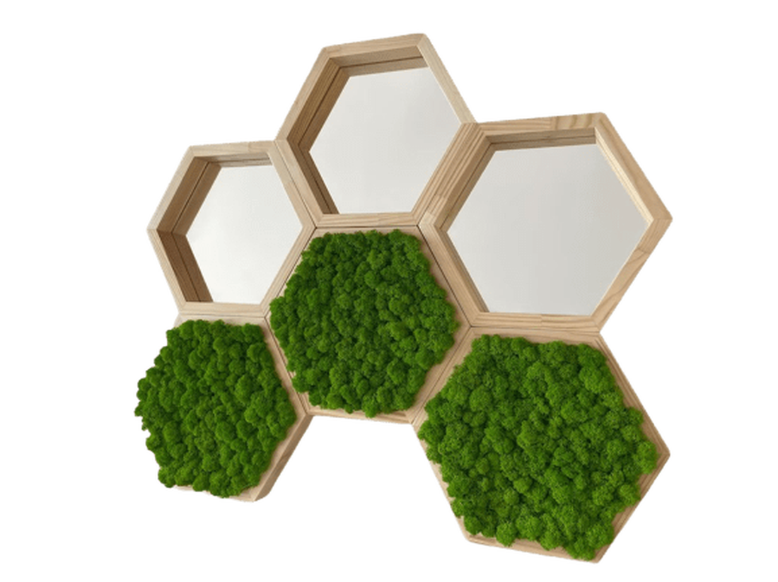 Hexagoane din licheni 2525 cm Set - casă & stil de viață - accesorii pentru decorat casa - decorațiuni de pereți, decorațiuni suspendate - tablou cu licheni - Artynos.ro