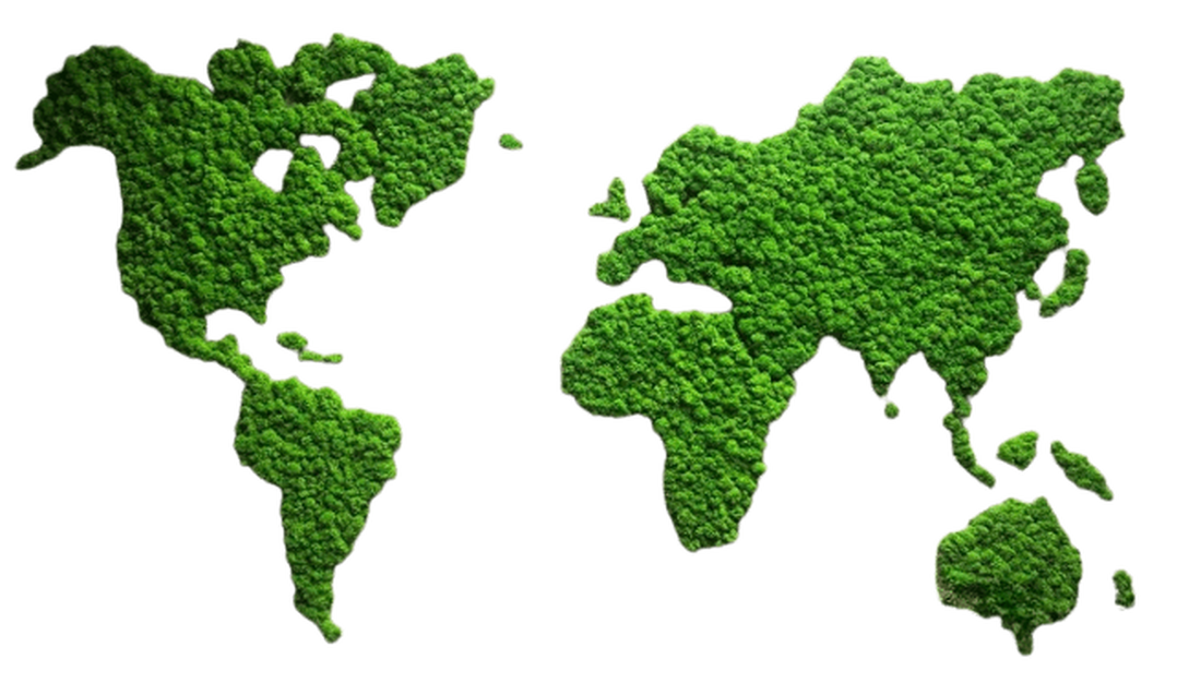 Harta lumii din licheni 9054 cm - casă & stil de viață - accesorii pentru decorat casa - decorațiuni de pereți, decorațiuni suspendate - tablou cu licheni - Artynos.ro