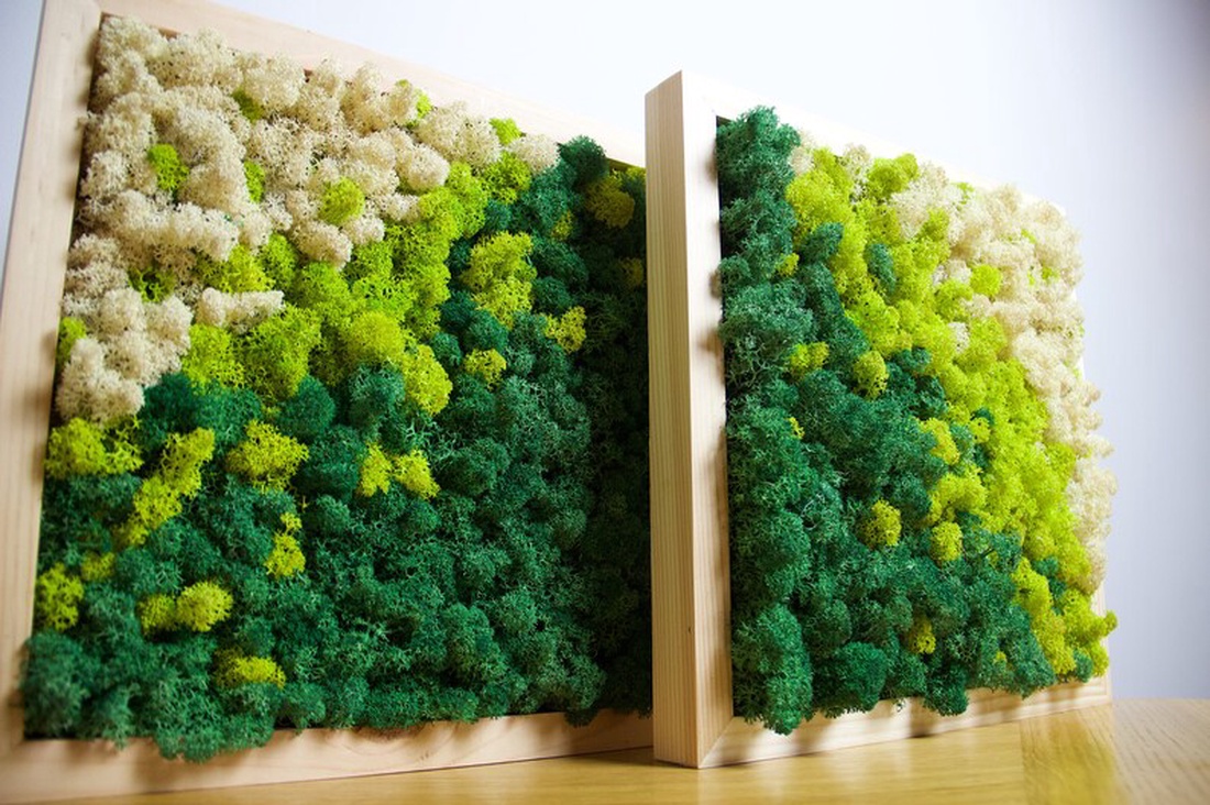 Tablouri din licheni 4040 cm Set - casă & stil de viață - accesorii pentru decorat casa - decorațiuni de pereți, decorațiuni suspendate - tablou cu licheni - Artynos.ro