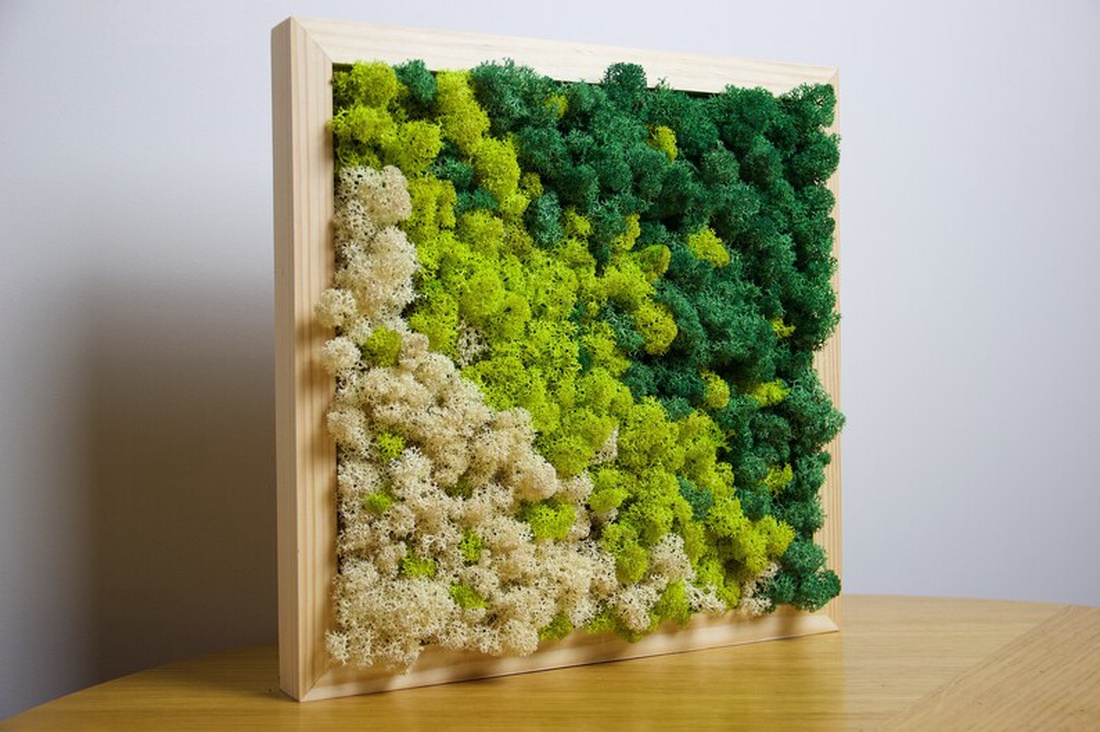 Tablouri din licheni 4040 cm Set - casă & stil de viață - accesorii pentru decorat casa - decorațiuni de pereți, decorațiuni suspendate - tablou cu licheni - Artynos.ro