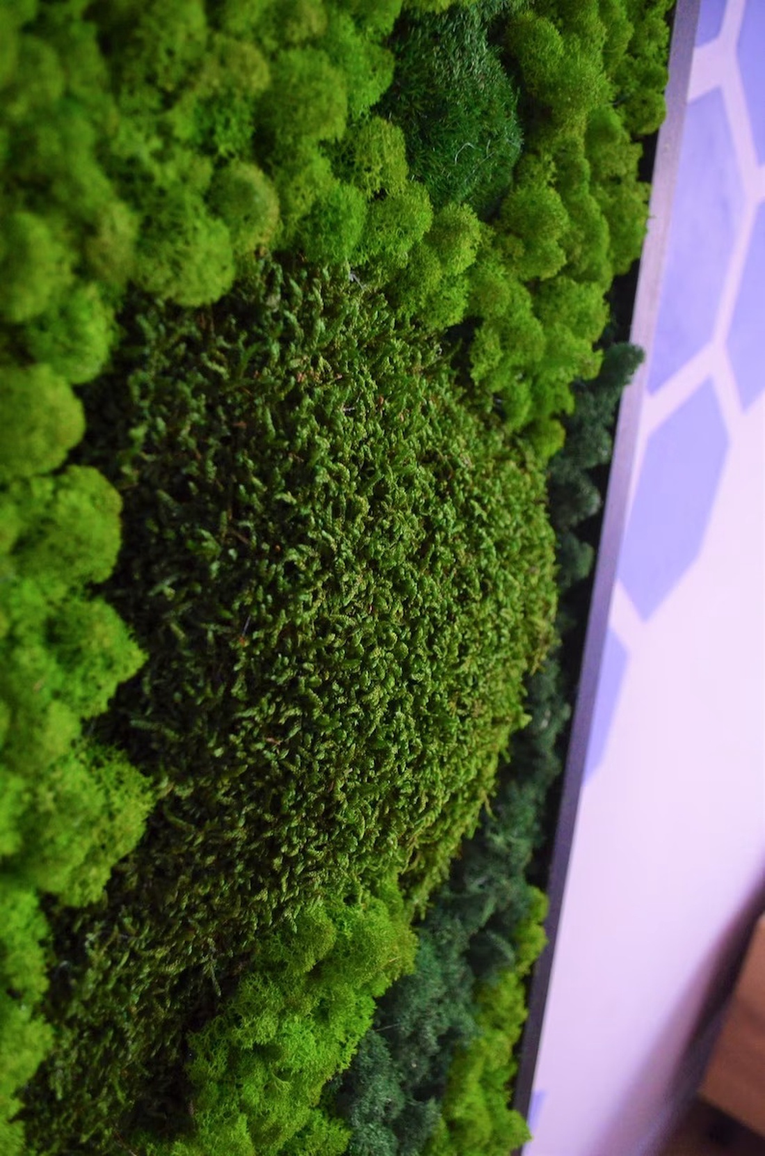 Tablou cu licheni 12030 cm - casă & stil de viață - accesorii pentru decorat casa - decorațiuni de pereți, decorațiuni suspendate - tablou cu licheni - Artynos.ro