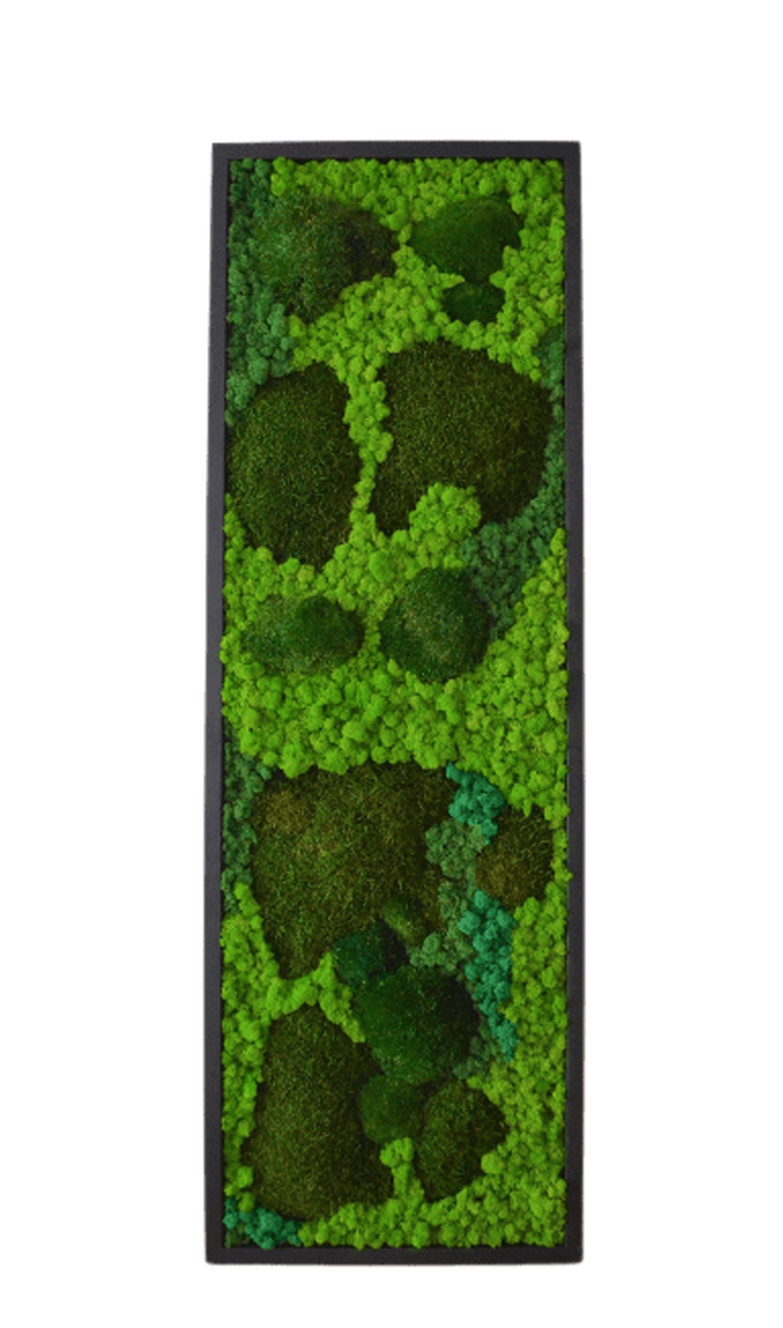 Tablou cu licheni 12030 cm - casă & stil de viață - accesorii pentru decorat casa - decorațiuni de pereți, decorațiuni suspendate - tablou cu licheni - Artynos.ro