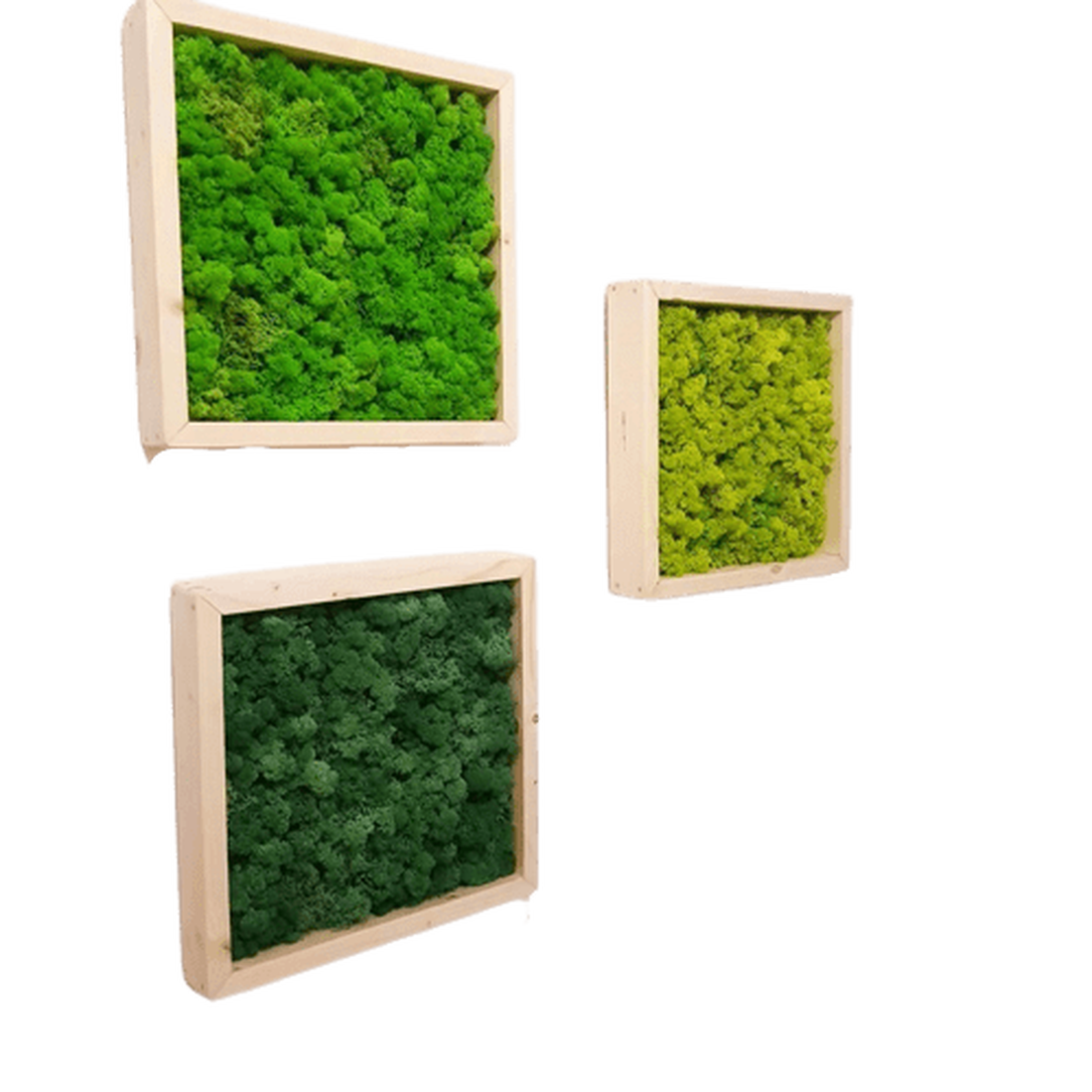 Tablouri din licheni 3030 cm Set - casă & stil de viață - accesorii pentru decorat casa - decorațiuni de pereți, decorațiuni suspendate - tablou cu licheni - Artynos.ro