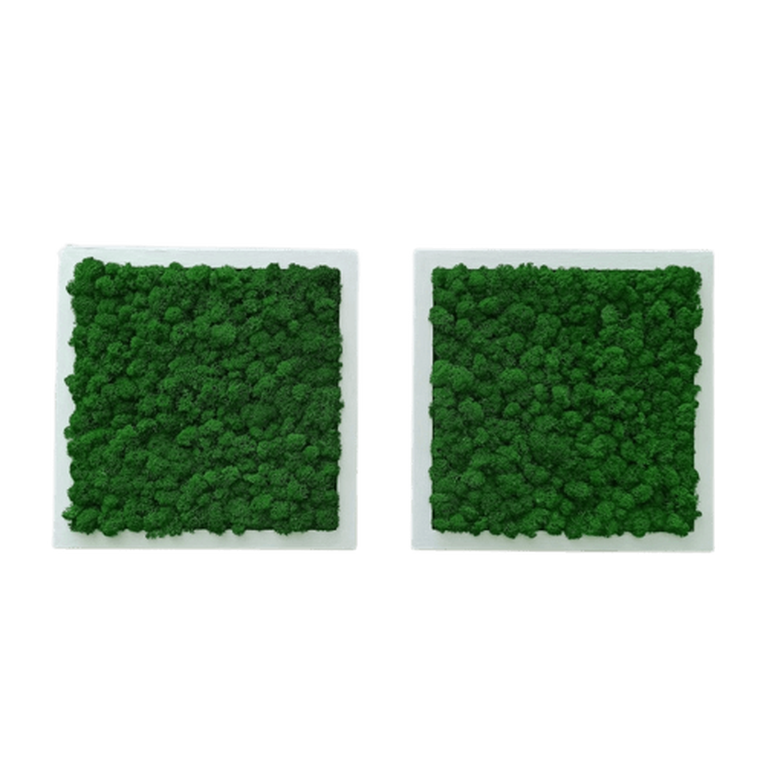 Tablouri din licheni 3535 cm SET - casă & stil de viață - accesorii pentru decorat casa - decorațiuni de pereți, decorațiuni suspendate - tablou cu licheni - Artynos.ro