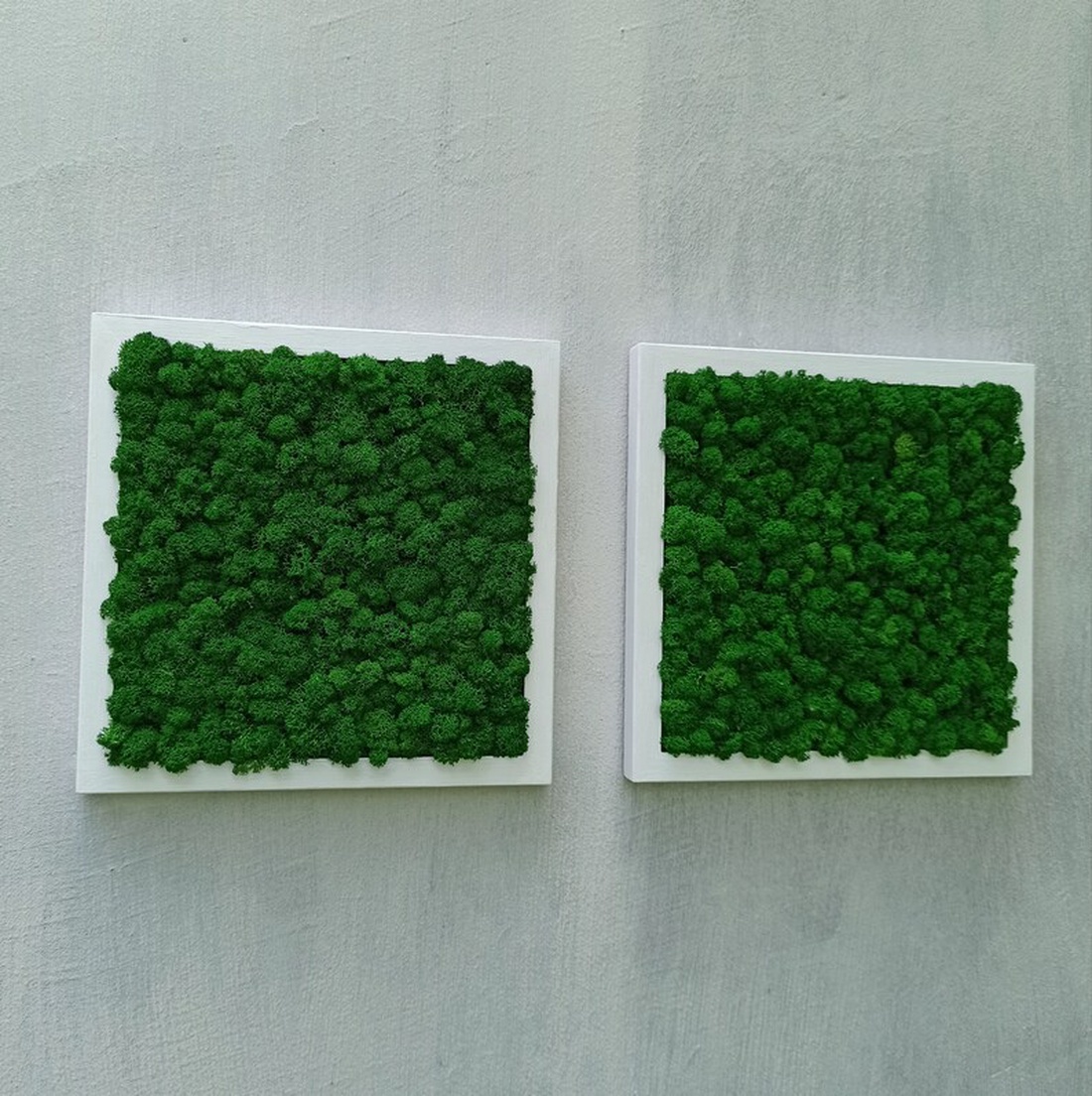 Tablouri din licheni 3535 cm SET - casă & stil de viață - accesorii pentru decorat casa - decorațiuni de pereți, decorațiuni suspendate - tablou cu licheni - Artynos.ro